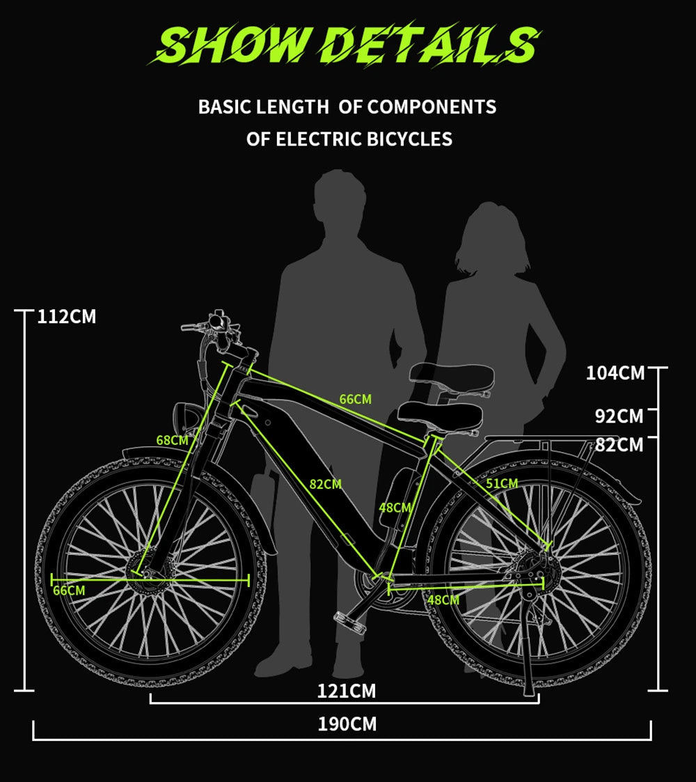 DUOTTS F26 750W Dual Motor E-Bike