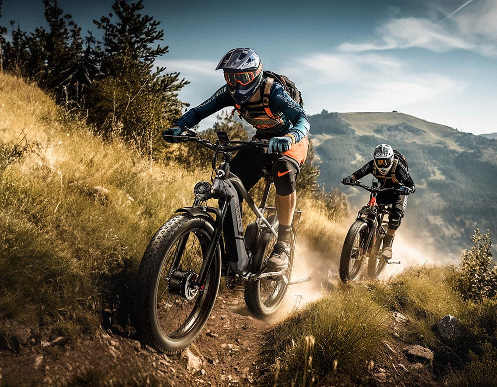 DUOTTS F26 750W Dual Motor E-Bike