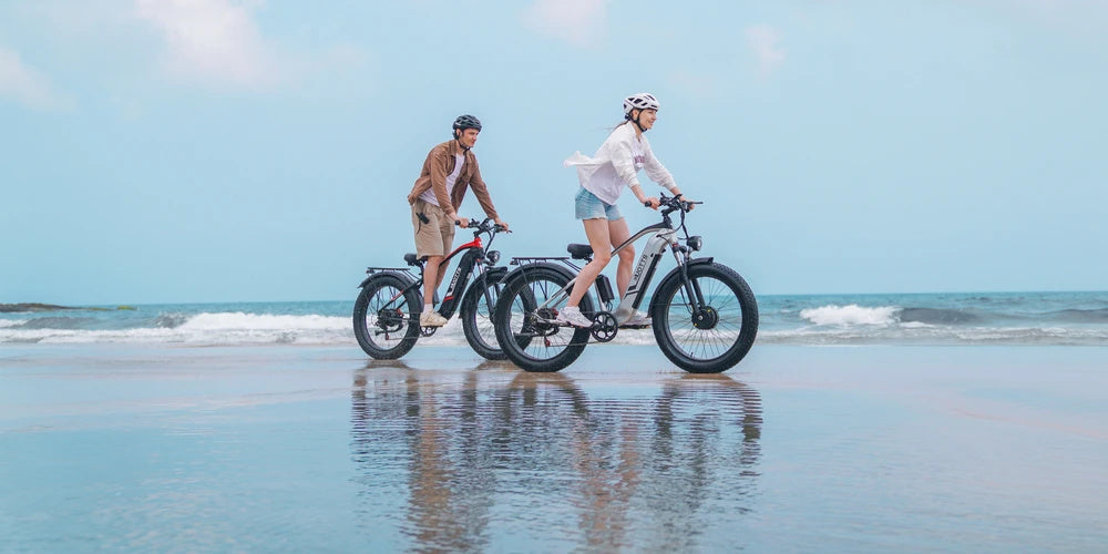 DUOTTS F26 750W Dual Motor E-Bike