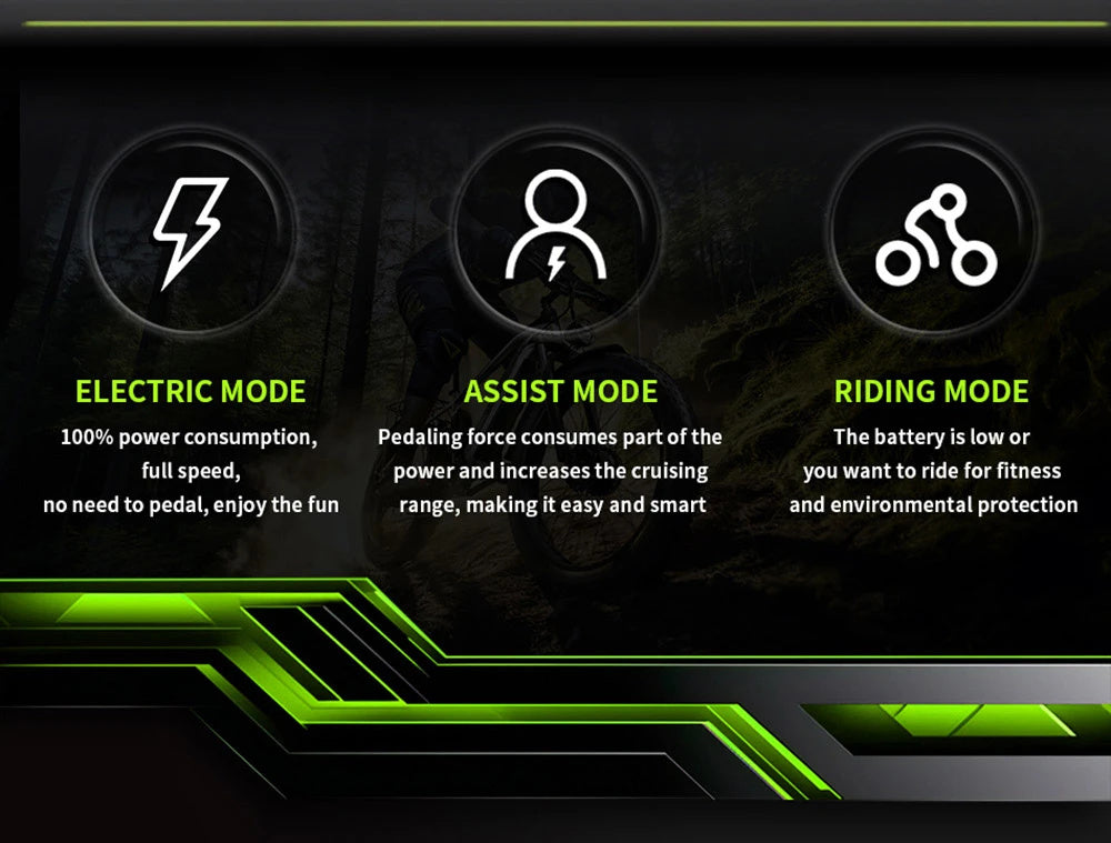 DUOTTS F26 750W Dual Motor E-Bike