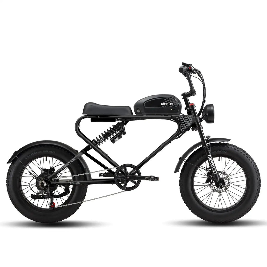 MEELOD DK300 1200W Retro E-Bike