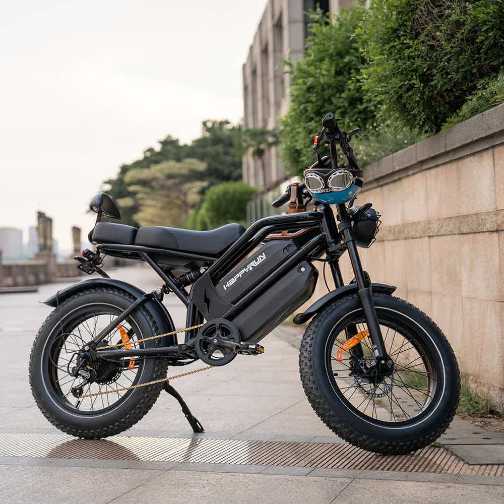 HAPPYRUN G20 Pro 2000W Cargo E-Bike