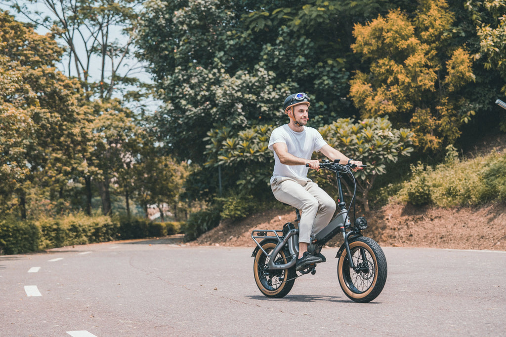 MIHOGO 750W Utility E-Bike