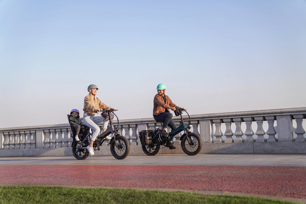MIHOGO 750W Utility E-Bike