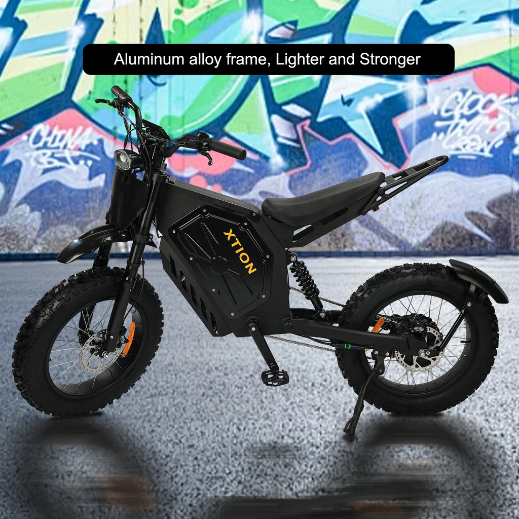 3000W All-Terrain E-Bike