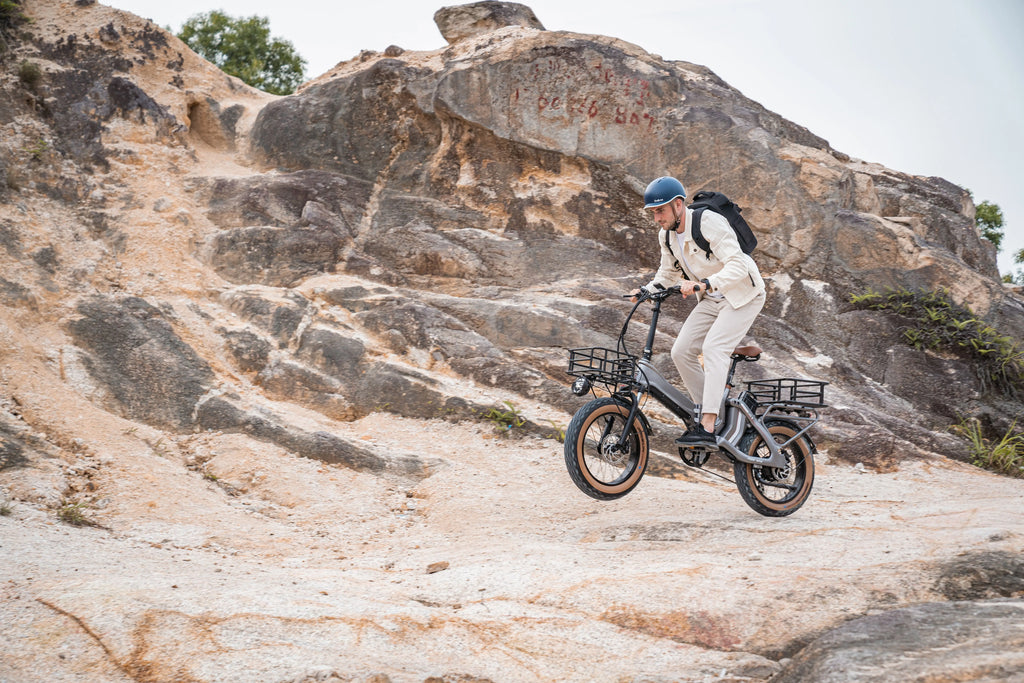 MIHOGO 750W Utility E-Bike